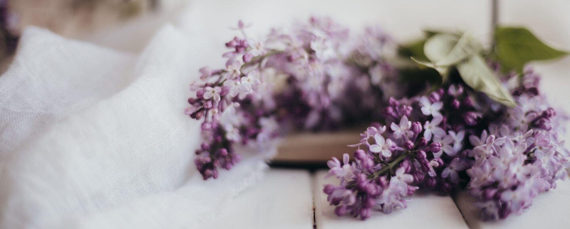 Hero image on Why Join GFG Page, depicts lilac flowers on a whitewashed wooden table