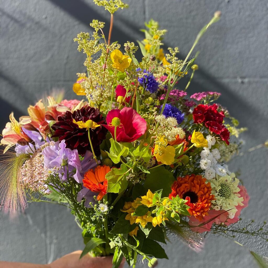 Good Florist Guide | The UK & Ireland's Top Florists